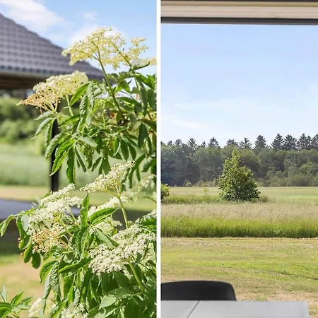 Ferienhaus Tv1545-bindslev-falkevej-16